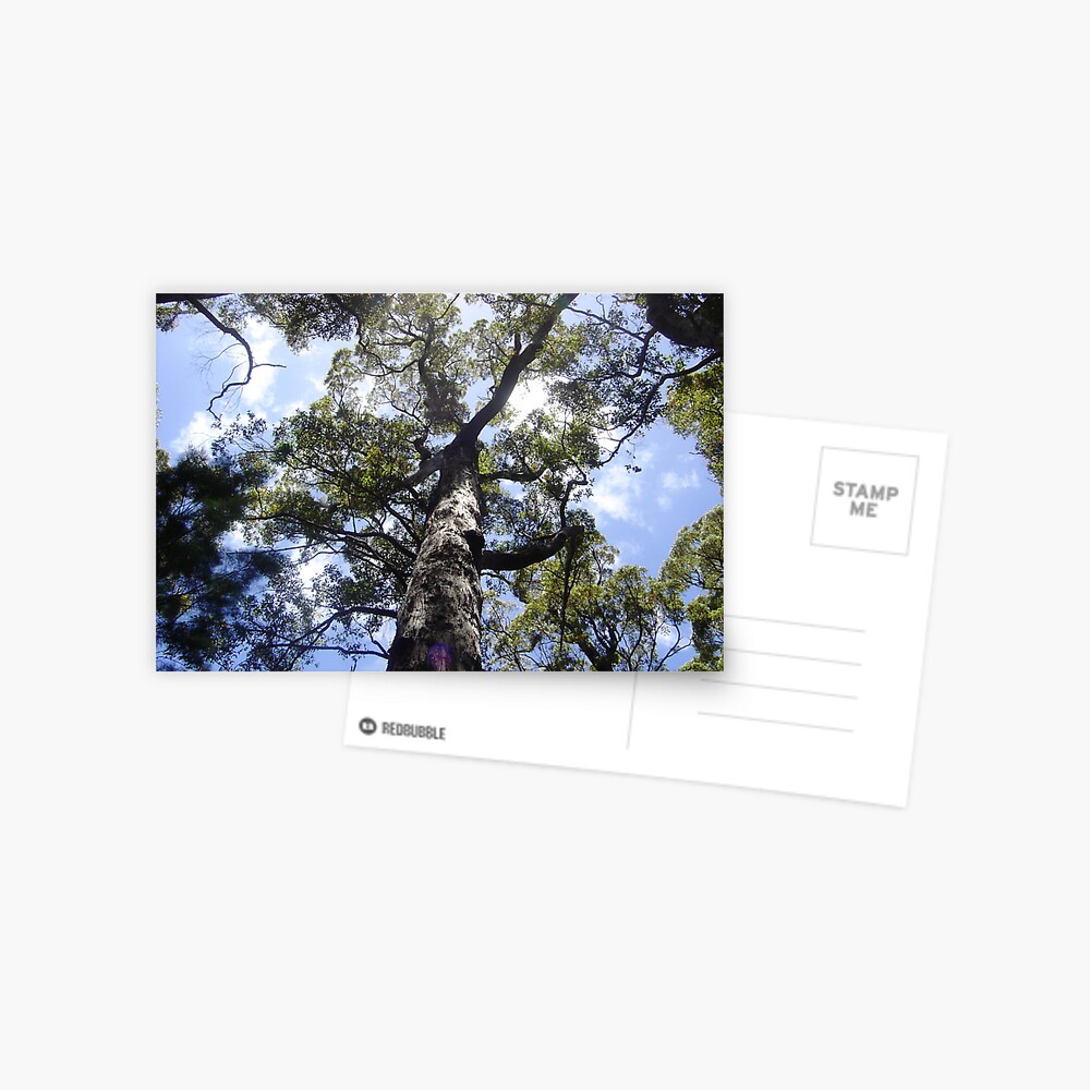 Item preview, Postcard designed and sold by SMahoney.