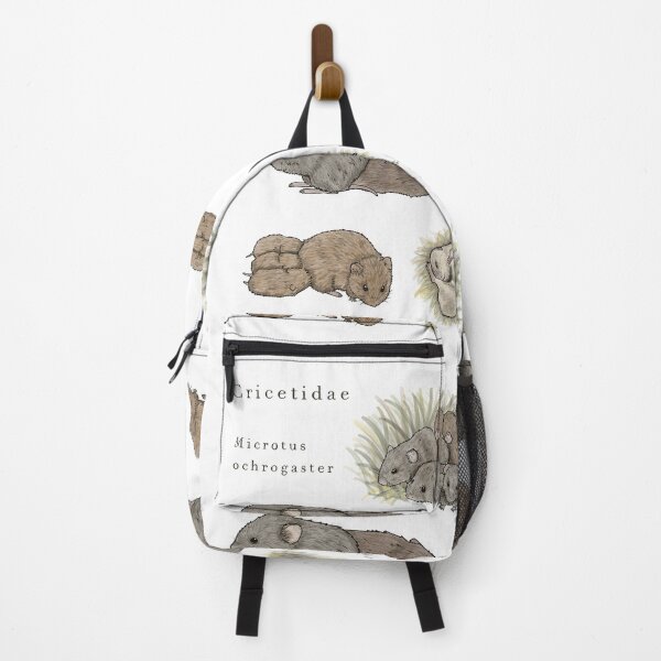 Item preview, Prairie vole: scientific illustration designed and sold by mangui.