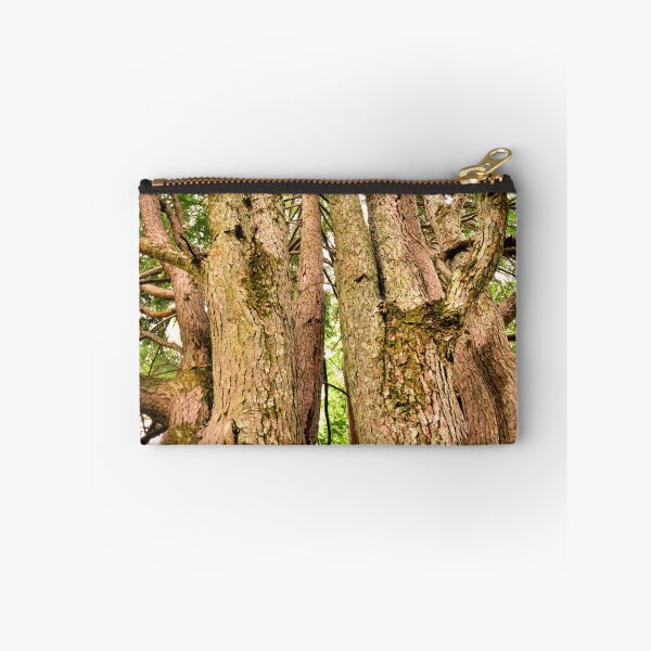 Item preview, One Tree Six Trunks designed and sold by LisaWootenPhoto.
