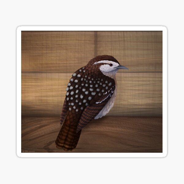 Item preview, Carolina wren designed and sold by DragonArtist15.
