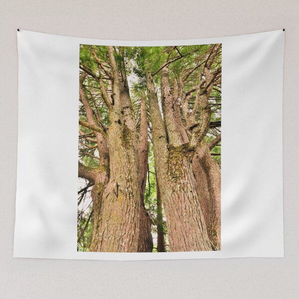 Item preview, One Tree Six Trunks designed and sold by LisaWootenPhoto.