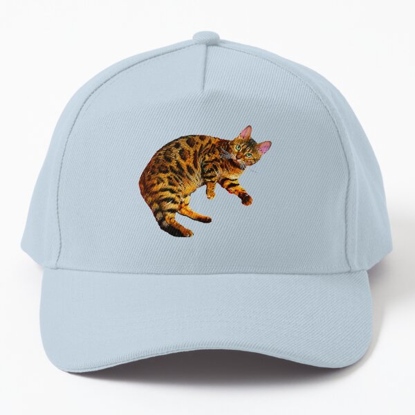 Cat is Wearing a Baseball Hat