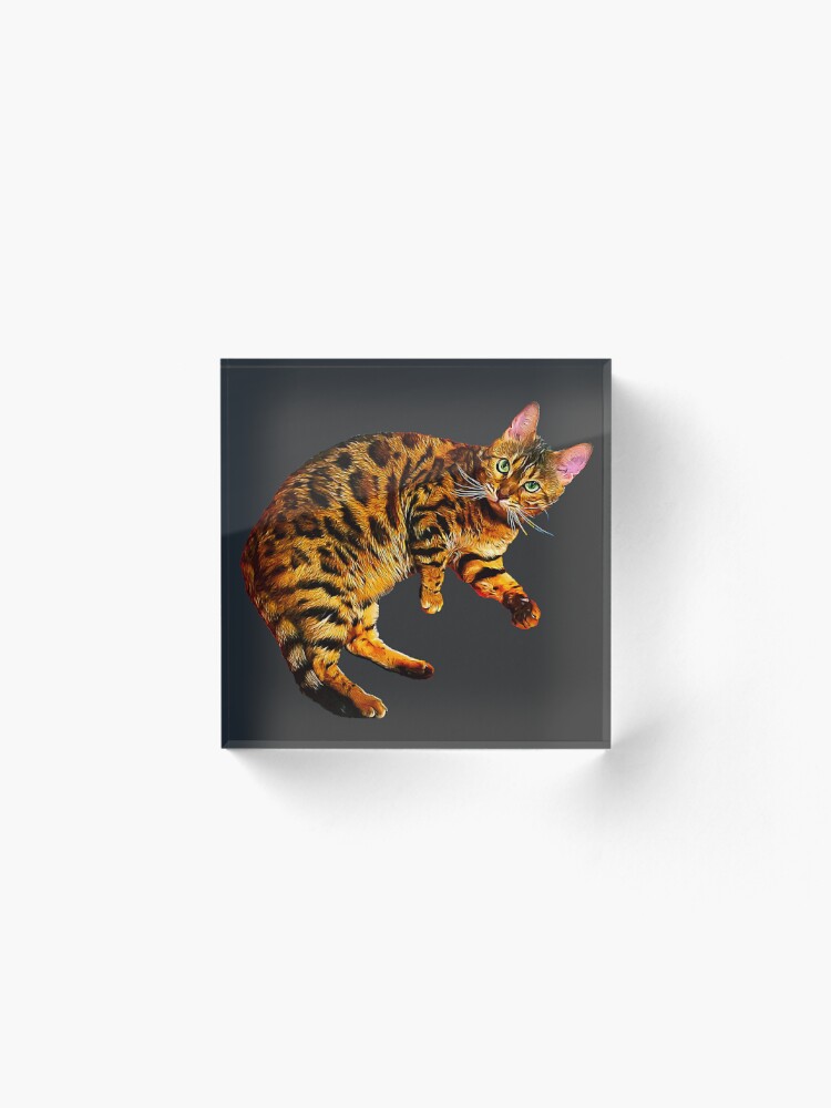 Bengal Cat Kitten Active T-Shirt for Sale by Elarex