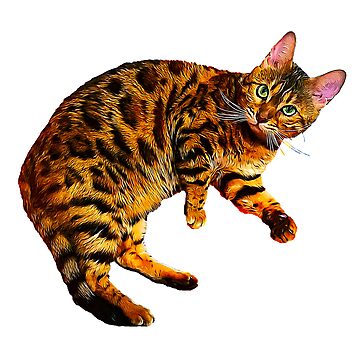 Bengal Cat Kitten' Sticker for Sale by Elarex