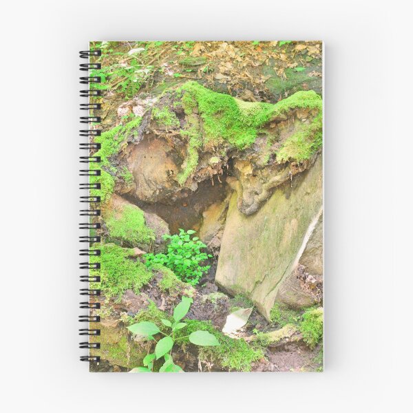 Item preview, Rock Meets Mossy Stump designed and sold by LisaWootenPhoto.