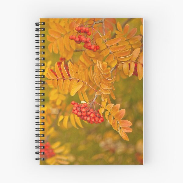 Item preview, Mountain Ash  designed and sold by Sandra Foster.