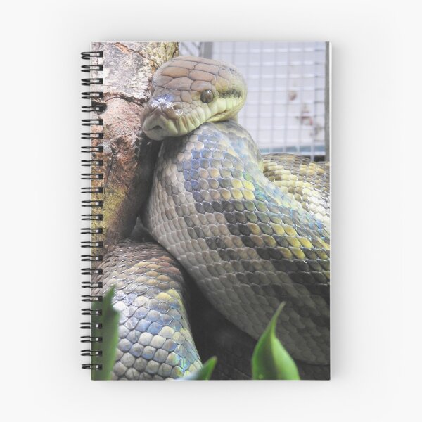 Item preview, Amethystine Python designed and sold by kirstybush.