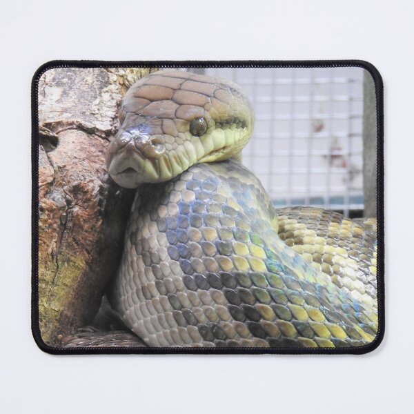 Item preview, Amethystine Python designed and sold by kirstybush.