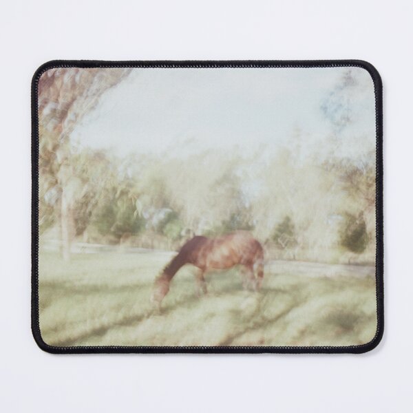 Item preview, Horses in Warwick on expired 35mm film designed and sold by Dominique Tassell.