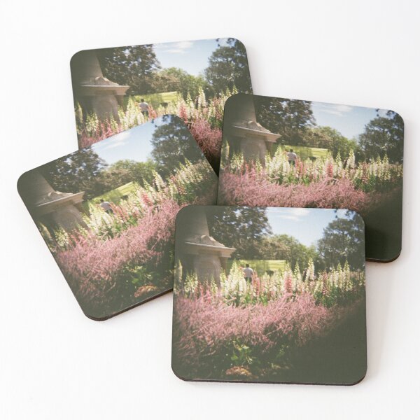 Item preview, Carnival of Flowers 35mm film photography designed and sold by Dominique Tassell.