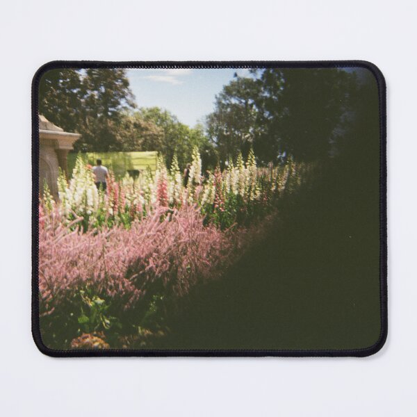 Item preview, Carnival of Flowers 35mm film photography designed and sold by Dominique Tassell.