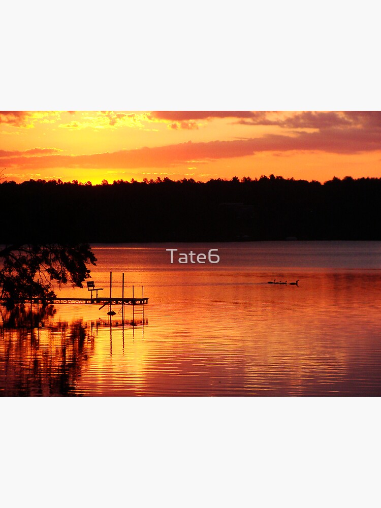 Fresh Beginning by Tate6