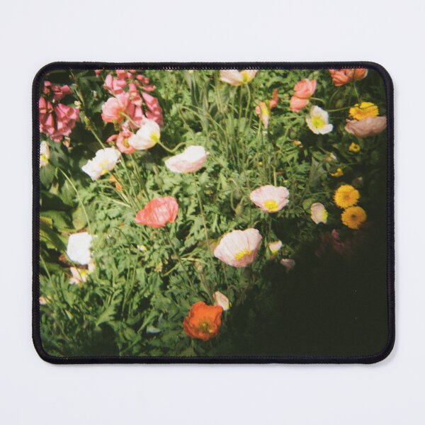 Item preview, Carnival of Flowers 35mm film photography designed and sold by Dominique Tassell.