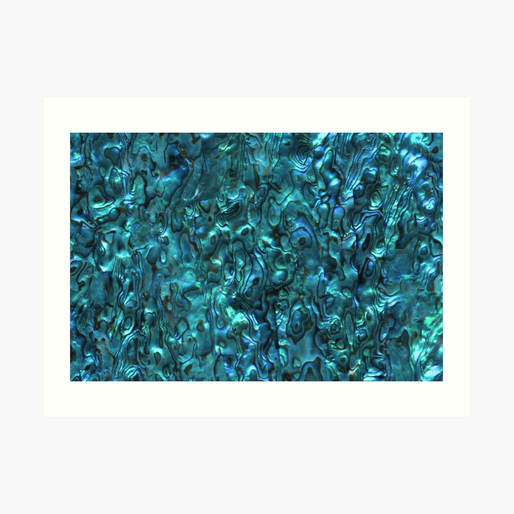 Abalone Shell | Paua Shell | Seashell Patterns | Sea Shells | Cyan Blue Tint | Art Print