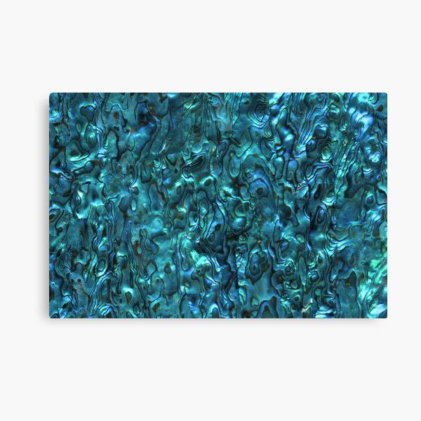 Abalone Shell | Paua Shell | Seashell Patterns | Sea Shells | Cyan Blue Tint | Canvas Print