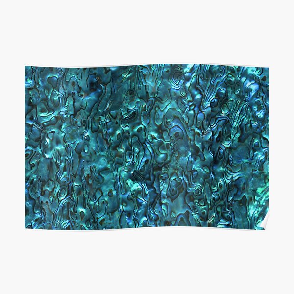 Abalone Shell | Paua Shell | Seashell Patterns | Sea Shells | Cyan Blue Tint | Poster