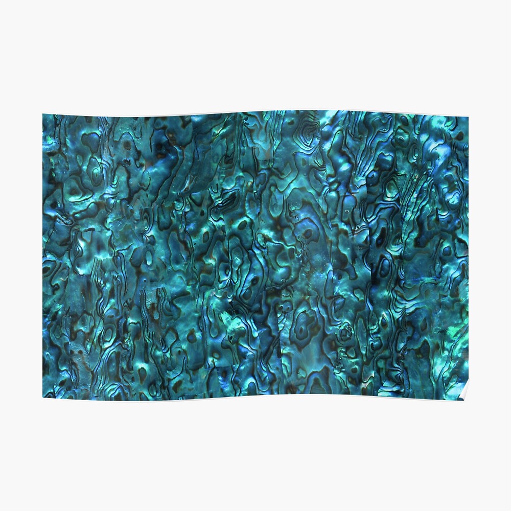 Abalone Shell | Paua Shell | Seashell Patterns | Sea Shells | Cyan Blue Tint | Poster