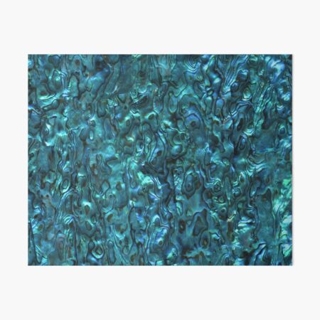 Abalone Shell | Paua Shell | Seashell Patterns | Sea Shells | Cyan Blue Tint |  Art Board Print