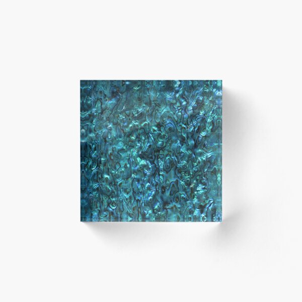 Abalone Shell | Paua Shell | Seashell Patterns | Sea Shells | Cyan Blue Tint | Acrylic Block