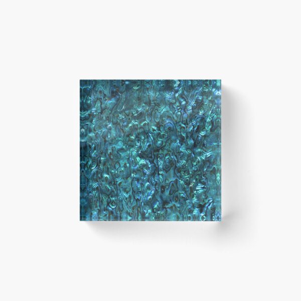 Abalone Shell | Paua Shell | Seashell Patterns | Sea Shells | Cyan Blue Tint | Acrylic Block