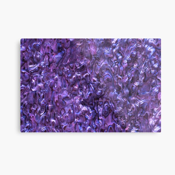 Abalone Shell | Paua Shell | Seashell Patterns | Sea Shells | Violet Tint | Metal Print