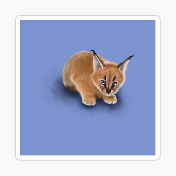 Caracal Cub Sticker