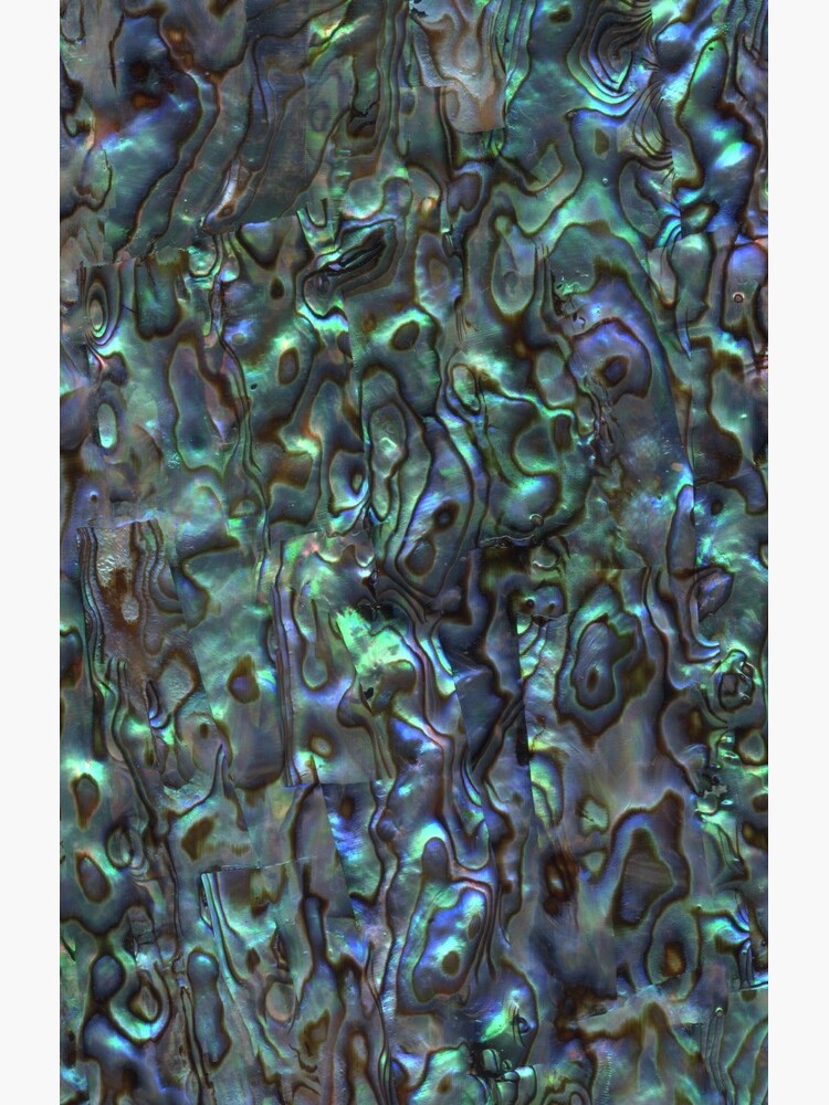 Thumbnail 4 von 4, Samsung Galaxy Handyhülle, Abalone-Muschel | Paua-Muschel | Muschelmuster | Muscheln | Natürlich | designt und verkauft von EclecticAtHeART.