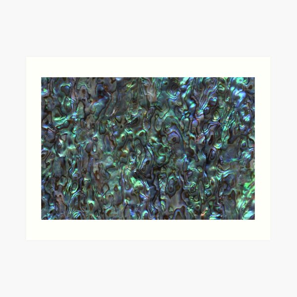 Abalone Shell | Paua Shell | Seashell Patterns | Sea Shells | Natural | Art Print