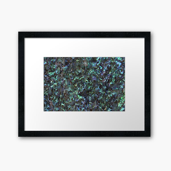 Abalone Shell | Paua Shell | Seashell Patterns | Sea Shells | Natural | Framed Art Print