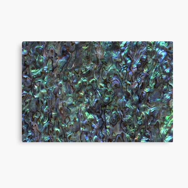 Abalone Shell | Paua Shell | Seashell Patterns | Sea Shells | Natural | Canvas Print