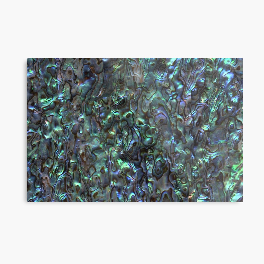 Abalone Shell | Paua Shell | Seashell Patterns | Sea Shells | Natural | Metal Print