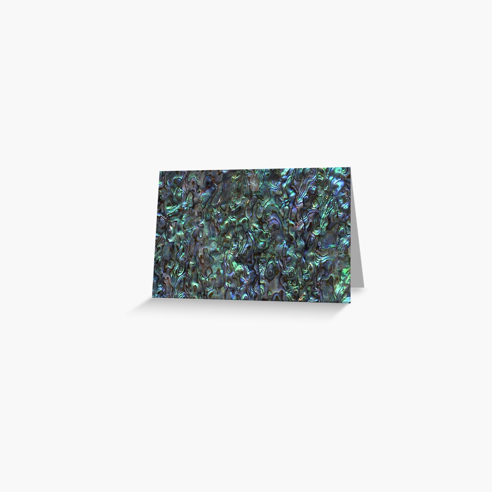 Abalone Shell | Paua Shell | Seashell Patterns | Sea Shells | Natural | Greeting Card