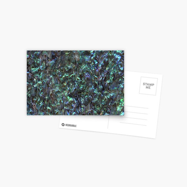 Abalone Shell | Paua Shell | Seashell Patterns | Sea Shells | Natural | Postcard