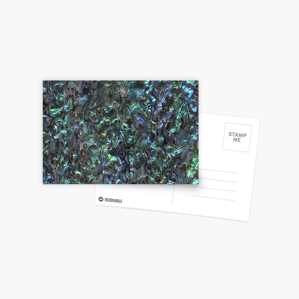 Abalone Shell | Paua Shell | Seashell Patterns | Sea Shells | Natural | Postcard