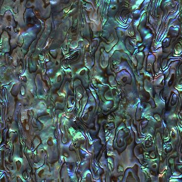 Vorschaubild zum Design Abalone-Muschel | Paua-Muschel | Muschelmuster | Muscheln | Natürlich | von EclecticAtHeART