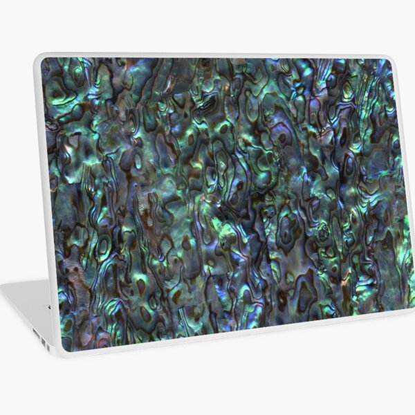 Abalone Shell | Paua Shell | Seashell Patterns | Sea Shells | Natural | Laptop Skin
