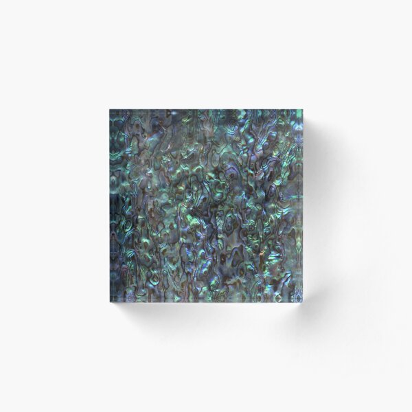 Abalone Shell | Paua Shell | Seashell Patterns | Sea Shells | Natural | Acrylic Block