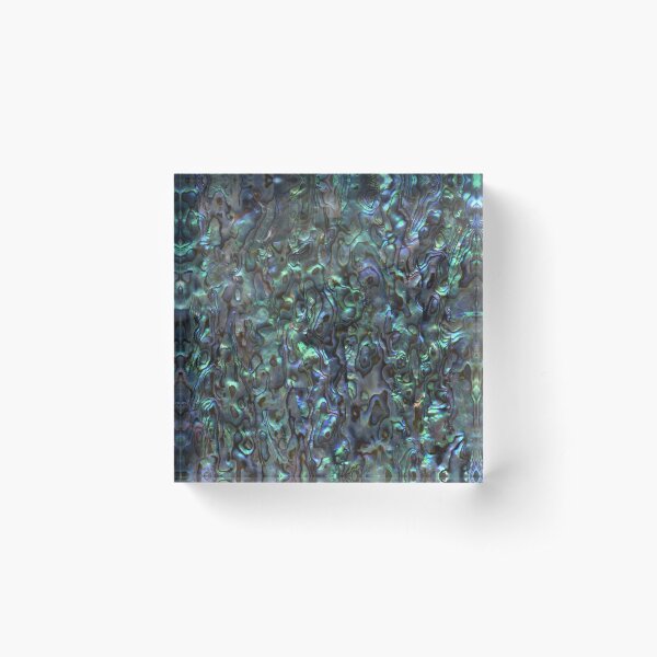 Abalone Shell | Paua Shell | Seashell Patterns | Sea Shells | Natural | Acrylic Block