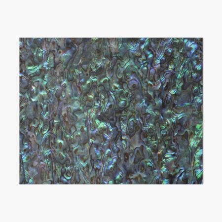 Abalone Shell | Paua Shell | Seashell Patterns | Sea Shells | Natural | Art Board Print