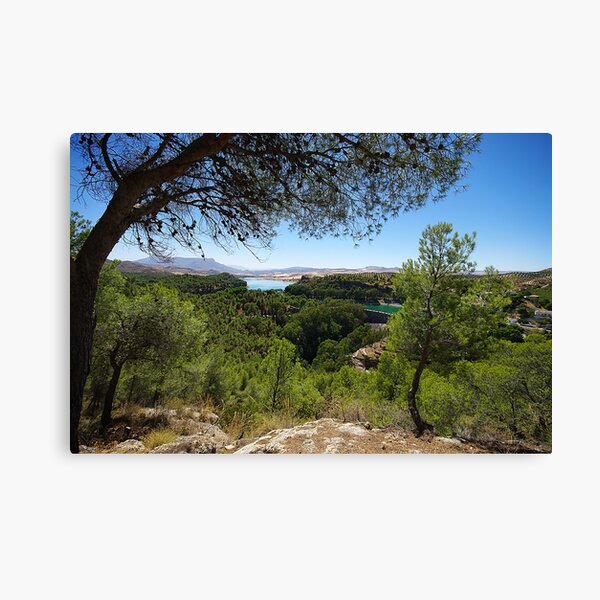 Distant Lake in El Choro Canvas Print