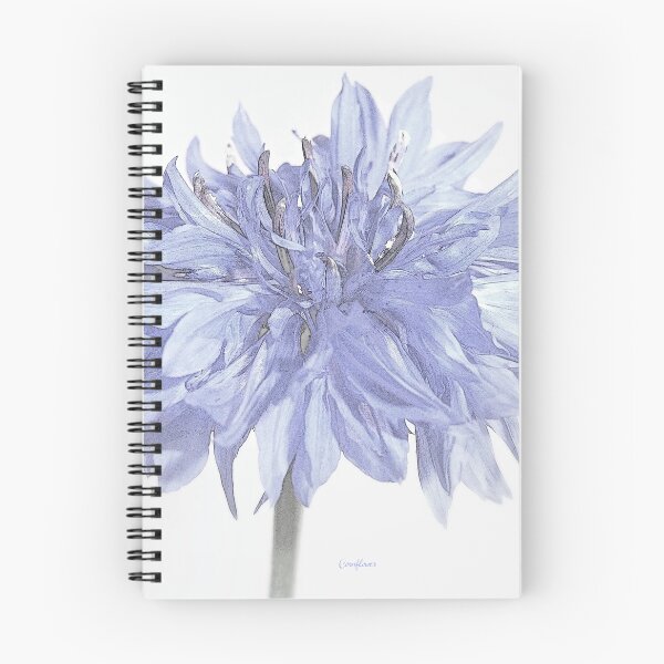 Item preview, botanica - cornflower designed and sold by Floralynne.