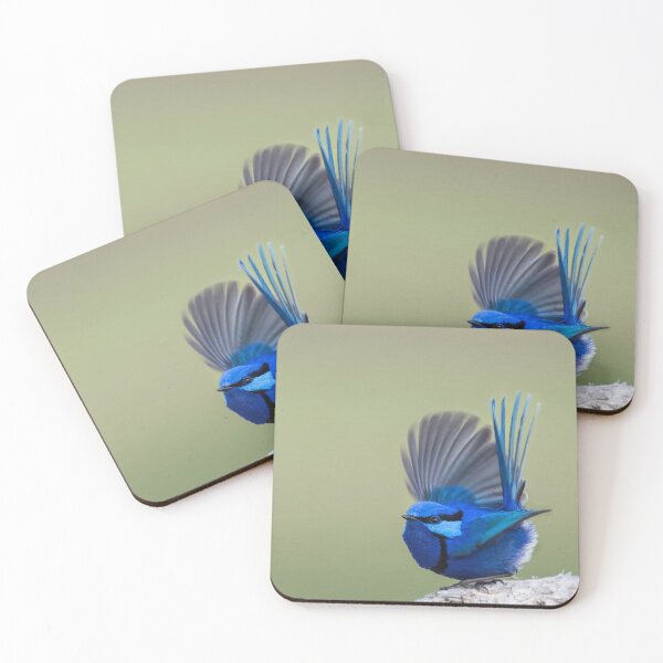 Item preview, Wing stretch designed and sold by Ladyshark.
