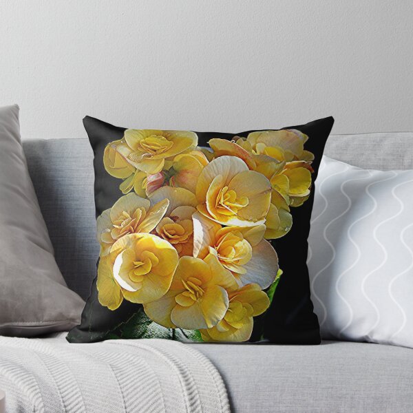 Artikelvorschau, Double Begonia von seiner besten Seite ........! entworfen und verkauft von Roy  Massicks.