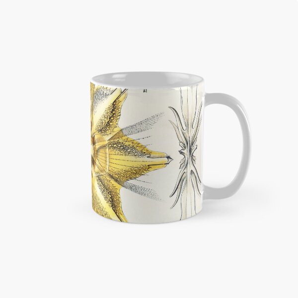Item preview, Art Forms in Nature - Amazing vintage design number 1 designed and sold by MINDTHECHERRY.