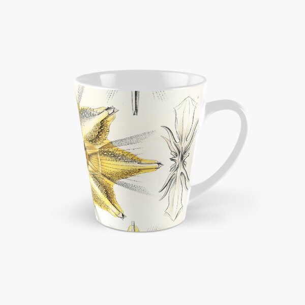 Item preview, Art Forms in Nature - Amazing vintage design number 1 designed and sold by MINDTHECHERRY.