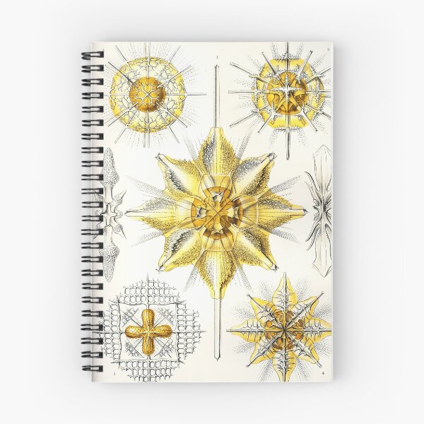 Item preview, Art Forms in Nature - Amazing vintage design number 1 designed and sold by MINDTHECHERRY.