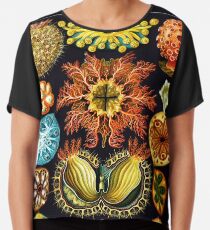 Art Forms in Nature - Amazing HD vintage design number 9 Chiffon Top