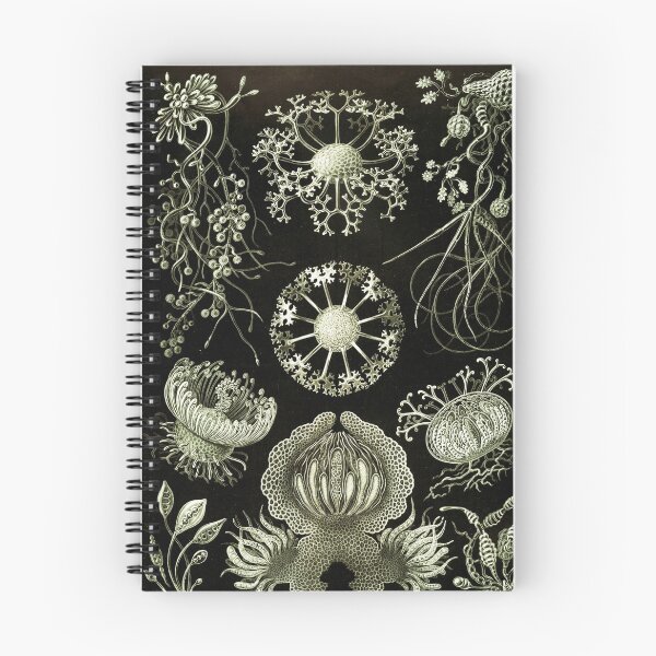 Item preview, Art Forms in Nature - Amazing HD vintage design number 10 designed and sold by MINDTHECHERRY.