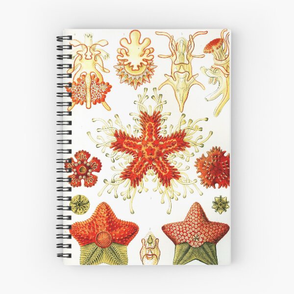Item preview, Art Forms in Nature - Amazing HD vintage design number 12 designed and sold by MINDTHECHERRY.