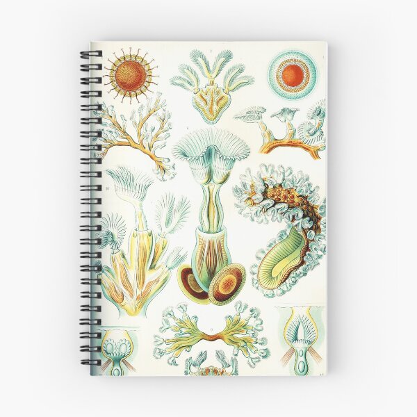 Item preview, Art Forms in Nature - Amazing HD vintage design number 16 designed and sold by MINDTHECHERRY.